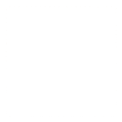polyester fabric